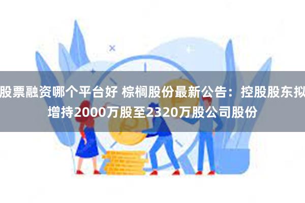 股票融资哪个平台好 棕榈股份最新公告：控股股东拟增持2000万股至2320万股公司股份