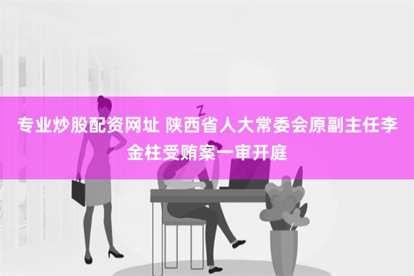 专业炒股配资网址 陕西省人大常委会原副主任李金柱受贿案一审开庭