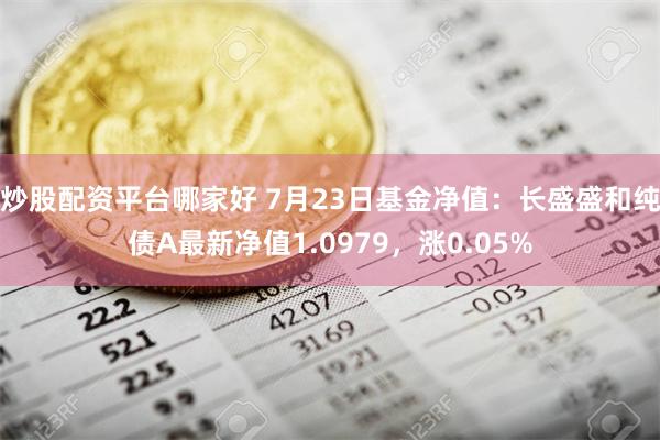 炒股配资平台哪家好 7月23日基金净值：长盛盛和纯债A最新净值1.0979，涨0.05%