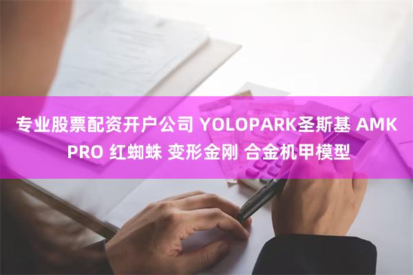 专业股票配资开户公司 YOLOPARK圣斯基 AMK PRO 红蜘蛛 变形金刚 合金机甲模型