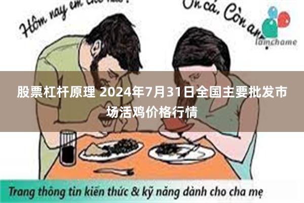 股票杠杆原理 2024年7月31日全国主要批发市场活鸡价格行情