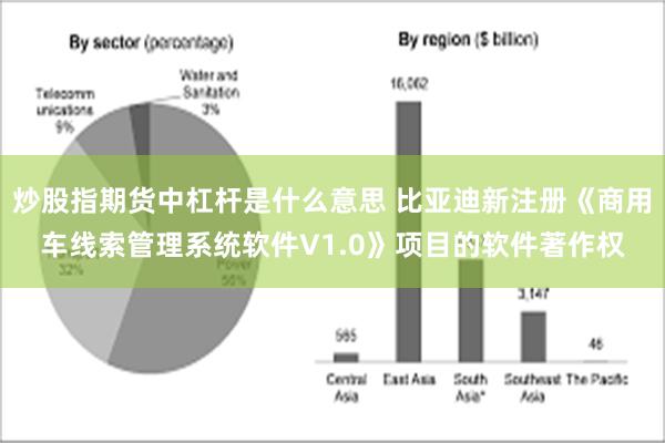 炒股指期货中杠杆是什么意思 比亚迪新注册《商用车线索管理系统软件V1.0》项目的软件著作权