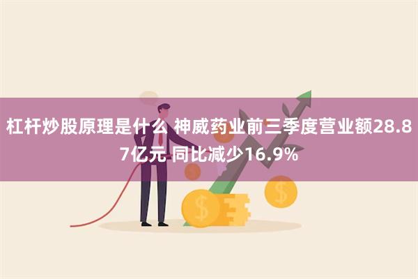 杠杆炒股原理是什么 神威药业前三季度营业额28.87亿元 同比减少16.9%