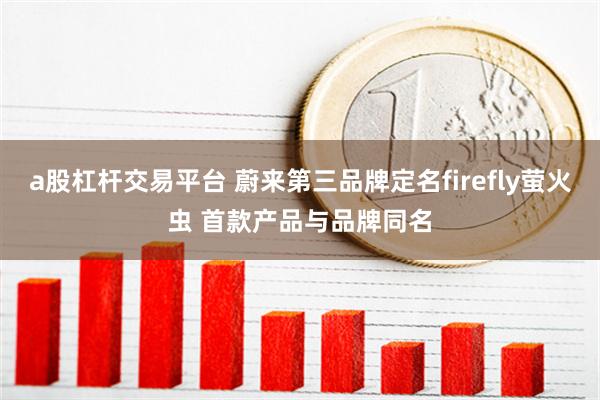 a股杠杆交易平台 蔚来第三品牌定名firefly萤火虫 首款产品与品牌同名