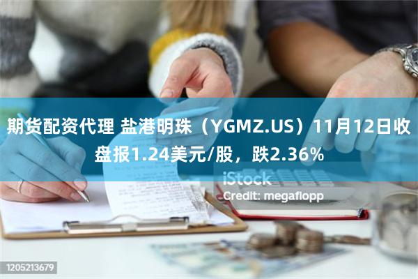 期货配资代理 盐港明珠（YGMZ.US）11月12日收盘报1.24美元/股，跌2.36%