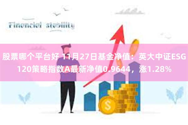 股票哪个平台好 11月27日基金净值：英大中证ESG120策略指数A最新净值0.9644，涨1.28%