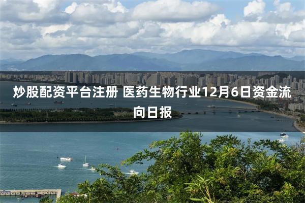 炒股配资平台注册 医药生物行业12月6日资金流向日报