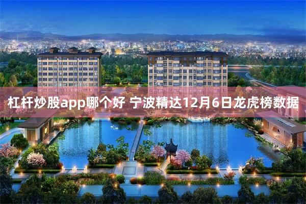 杠杆炒股app哪个好 宁波精达12月6日龙虎榜数据