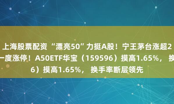 上海股票配资 “漂亮50”力挺A股！宁王茅台涨超2%，中兴通讯一度涨停！A50ETF华宝（159596）摸高1.65%， 换手率断层领先