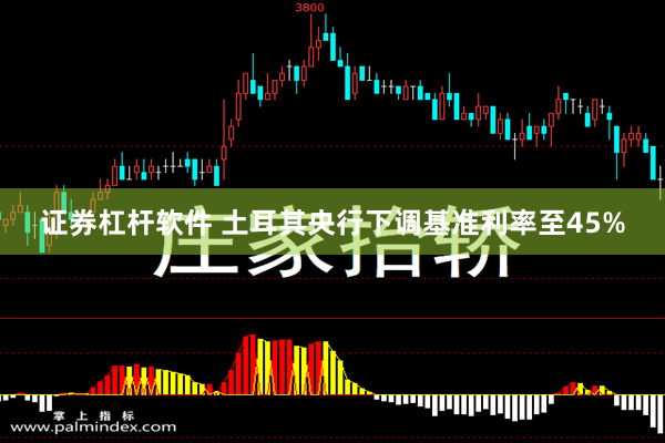 证券杠杆软件 土耳其央行下调基准利率至45%