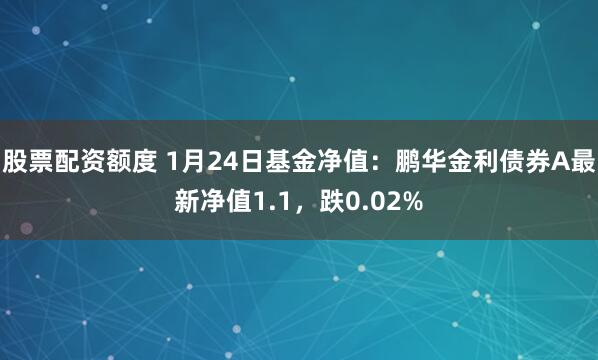 股票配资额度 1月24日基金净值：鹏华金利债券A最新净值1.1，跌0.02%