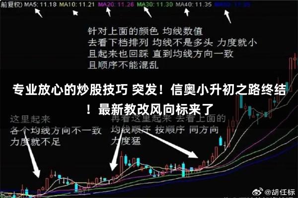 专业放心的炒股技巧 突发！信奥小升初之路终结！最新教改风向标来了