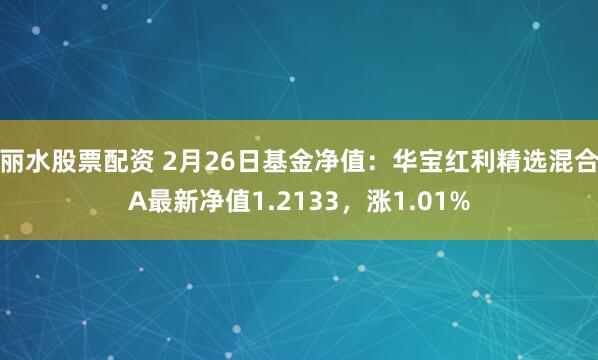 丽水股票配资 2月26日基金净值：华宝红利精选混合A最新净值1.2133，涨1.01%